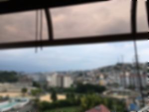 孤独死　－和歌山県ー