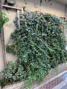 ～空き家状態での解体途中をご紹介～