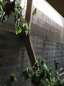 近隣トラブル　－兵庫県ー