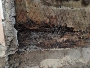 白蟻被害　ー滋賀県ー