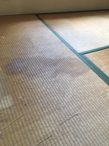 福井県　母の突然死