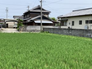 自宅へのこだわり　11月26日　－滋賀県近江八幡市－