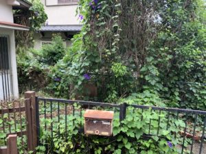 内覧査定　　－大阪府大阪市－