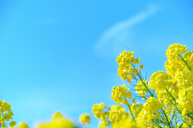 孤独死 -福岡県北九州市-