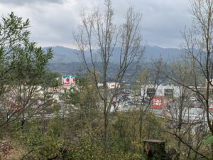 母の自殺　ー徳島県徳島市ー