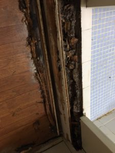 奈良県　シロアリ被害