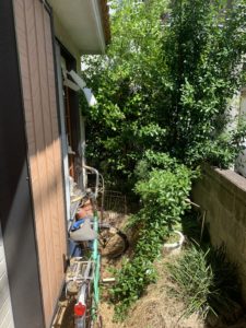 内覧査定　11月30日　　－山梨県甲斐市－