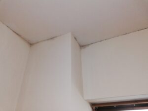 千葉県の訳あり物件の天井