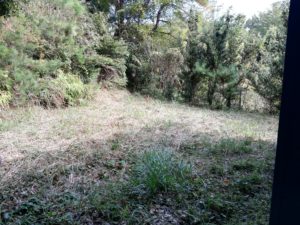 誠意　11月06日　－千葉県印旛郡－