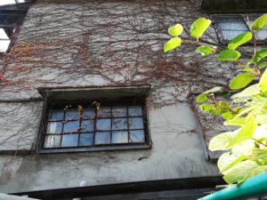 スムーズな対応　　1月9日　　－宮崎県宮崎市－