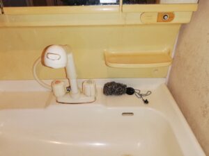 千葉県の訳あり物件の洗面所