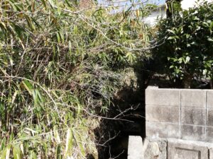 内覧査定　１月１６日　－広島市安佐南区－