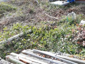 荒地　　ー千葉県成田市ー