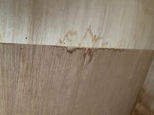 大阪府訳あり物件の雨漏りの箇所