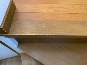 内覧査定　－岐阜県関市－