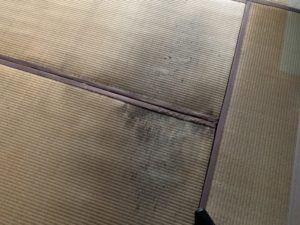 内覧査定　　－広島県広島市－