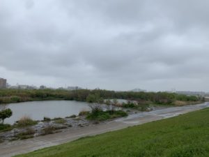 ありがとうございました。　ー広島県広島市ー