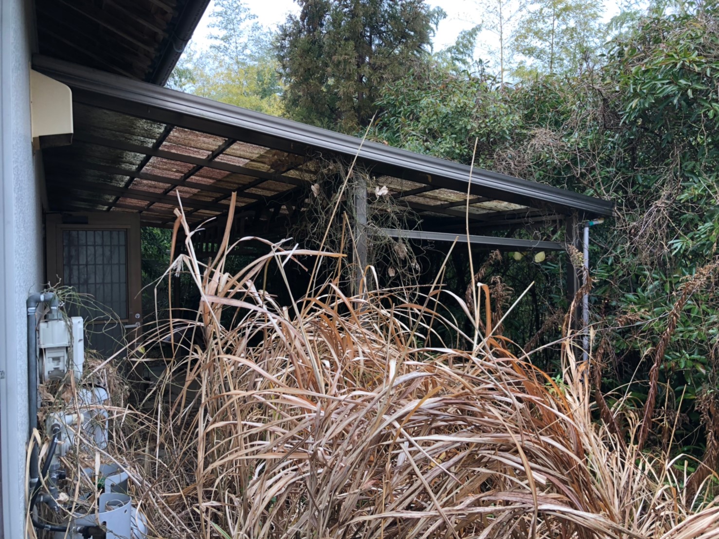 孤独死 -兵庫県ー