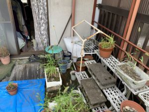 内覧査定　11月9日　－福岡県福岡市－