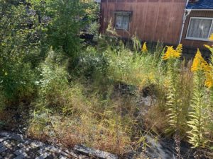 実家の売却　11月16日　－栃木県足利市－　　