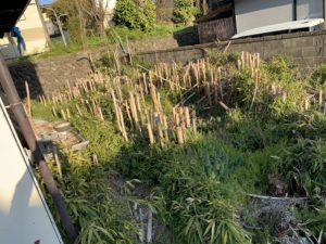 相続トラブル　－茨城県つくば市ー