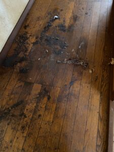 内覧査定　－富山県魚津市－