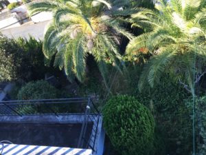 大人の遊び場計画～その1～