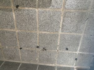 愛知県訳あり物件の玄関